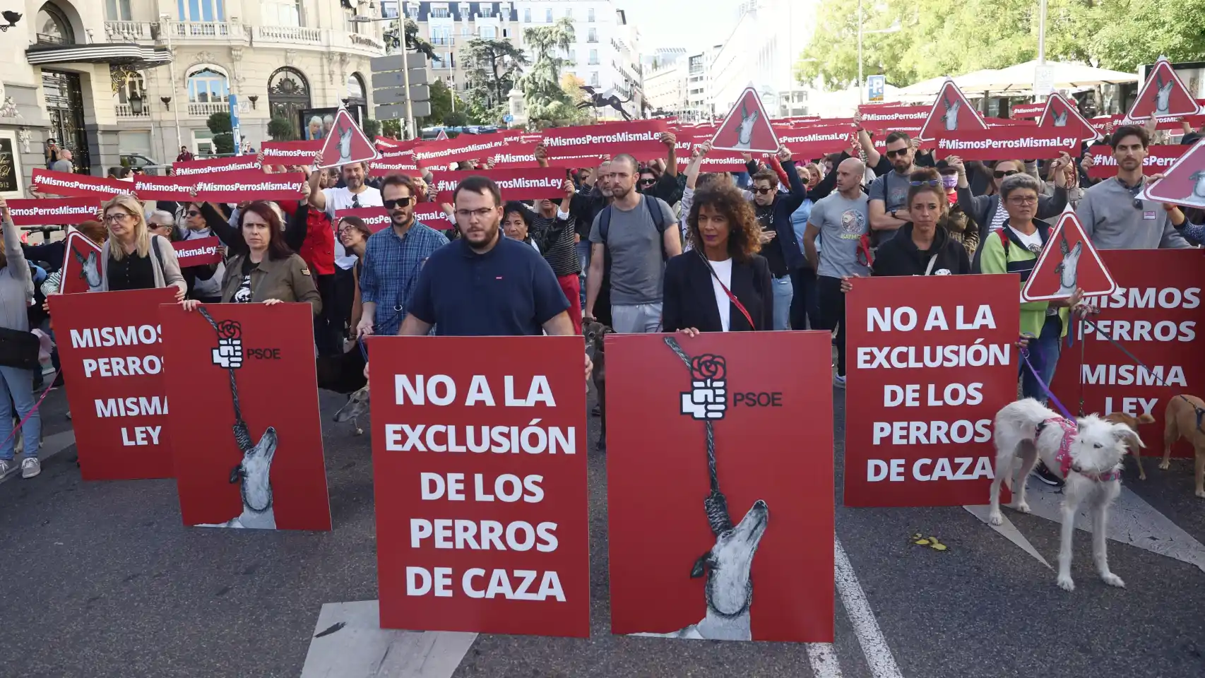 Claves de la Ley de Bienestar animal