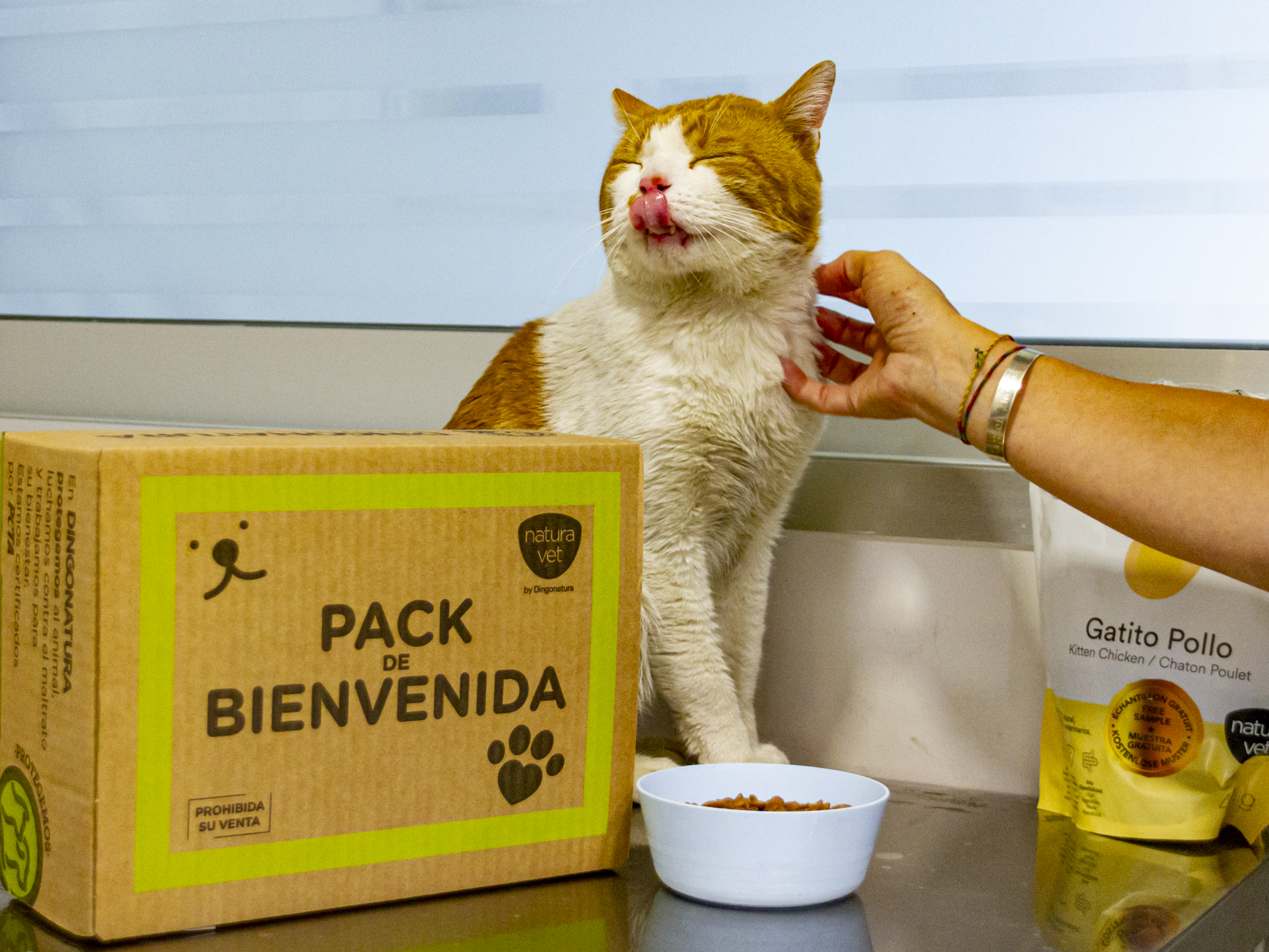 Cheeto, el artista antes llamado Tom